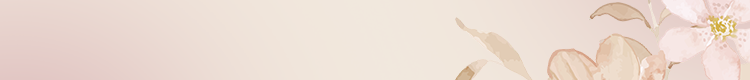 header-bg.png